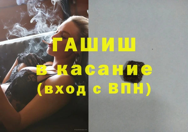 ГАЛЛЮЦИНОГЕННЫЕ ГРИБЫ Дмитриев