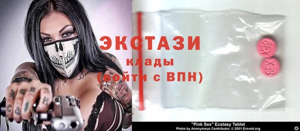 ГАЛЛЮЦИНОГЕННЫЕ ГРИБЫ Дмитриев