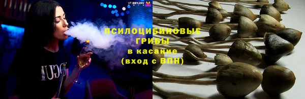 соль курить ск Дмитровск