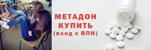 ГАЛЛЮЦИНОГЕННЫЕ ГРИБЫ Дмитриев