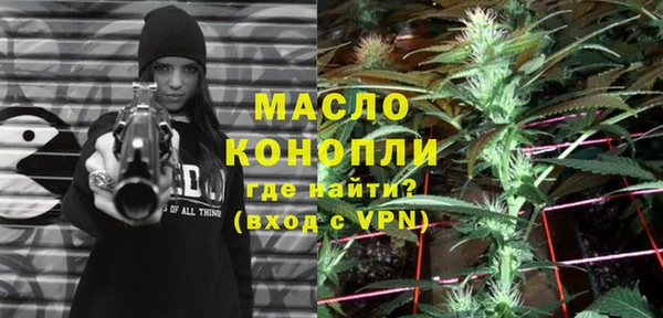 ГАЛЛЮЦИНОГЕННЫЕ ГРИБЫ Дмитриев