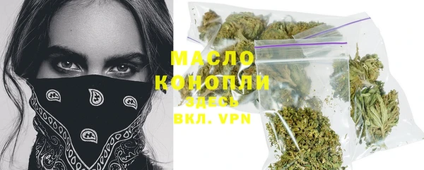ГАЛЛЮЦИНОГЕННЫЕ ГРИБЫ Дмитриев