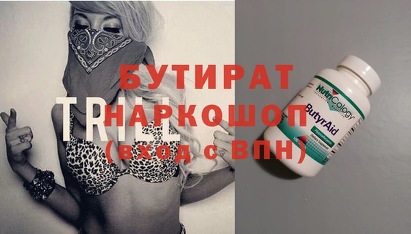 ГАЛЛЮЦИНОГЕННЫЕ ГРИБЫ Дмитриев