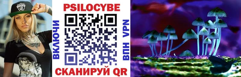 Купить  Приморск  Галлюциногенные грибы мицелий 
